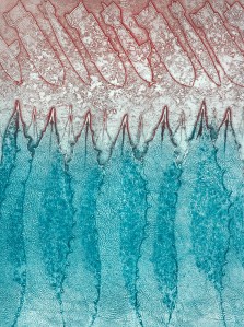 Resilience - Fatima Killeen - www.fatimakilleen.com